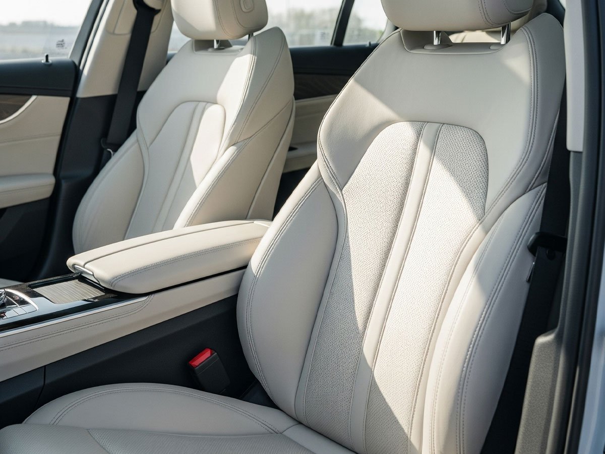 Contact Deluxe Shine Detailing for Vehicle Mold Removal in Vancouver Contact Deluxe Shine Detailing for Vehicle Mold Removal in Vancouver
